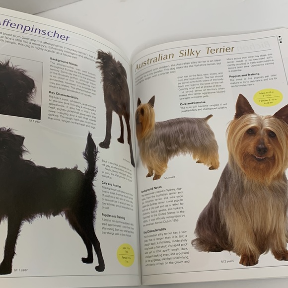Book | The Ultimate Illustrated Guide To Over 200 Breeds | Legacy Of The Dog - Picture 5 of 8